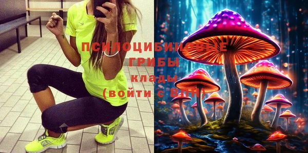 spice Гусиноозёрск