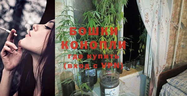 spice Гусиноозёрск