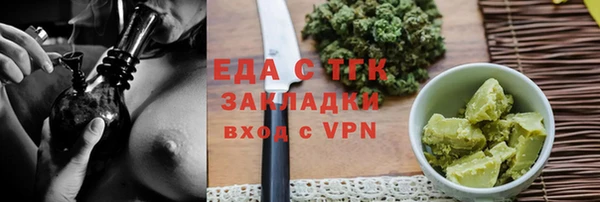 индика Дмитриев
