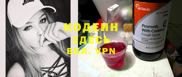 гашик Гусь-Хрустальный