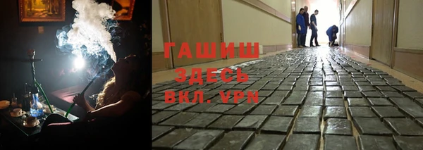 гашик Гусь-Хрустальный