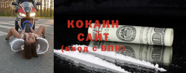 гашик Гусь-Хрустальный