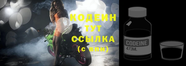 spice Гусиноозёрск