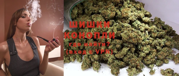 гашик Гусь-Хрустальный