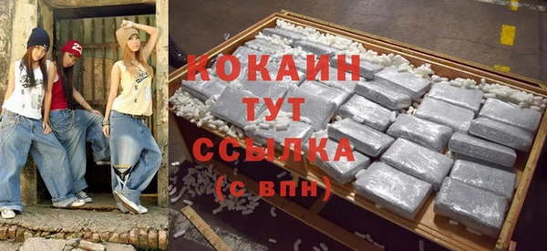 гашик Гусь-Хрустальный