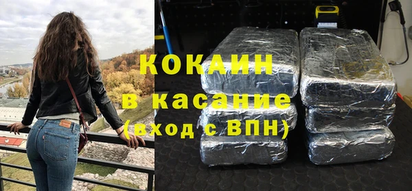 гашик Гусь-Хрустальный